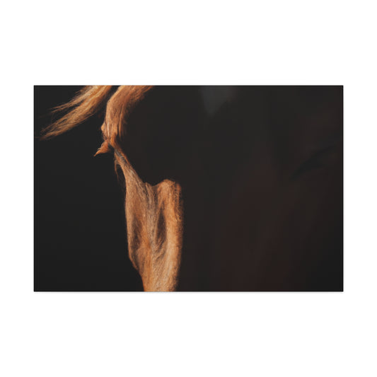 William Masterson-Canvas