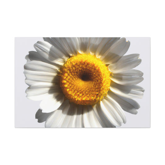 Pieter van de Velde-Canvas