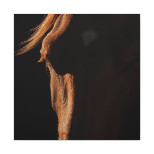 William Masterson-Canvas