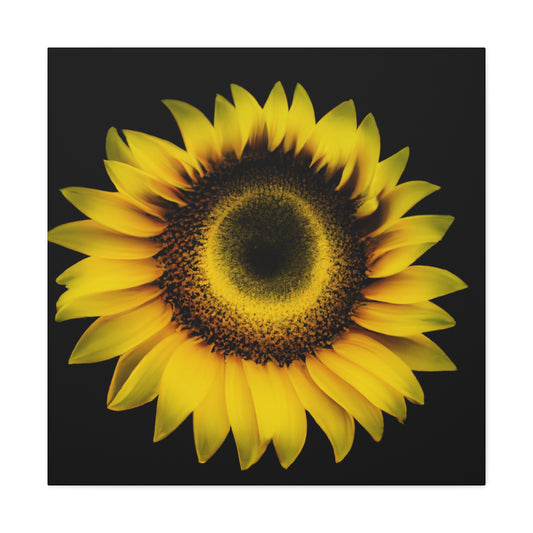 Mia Van Rochosso-Canvas