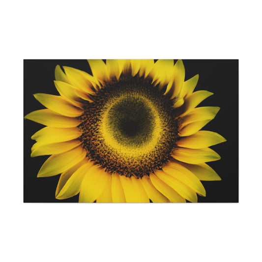 Mia Van Rochosso-Canvas