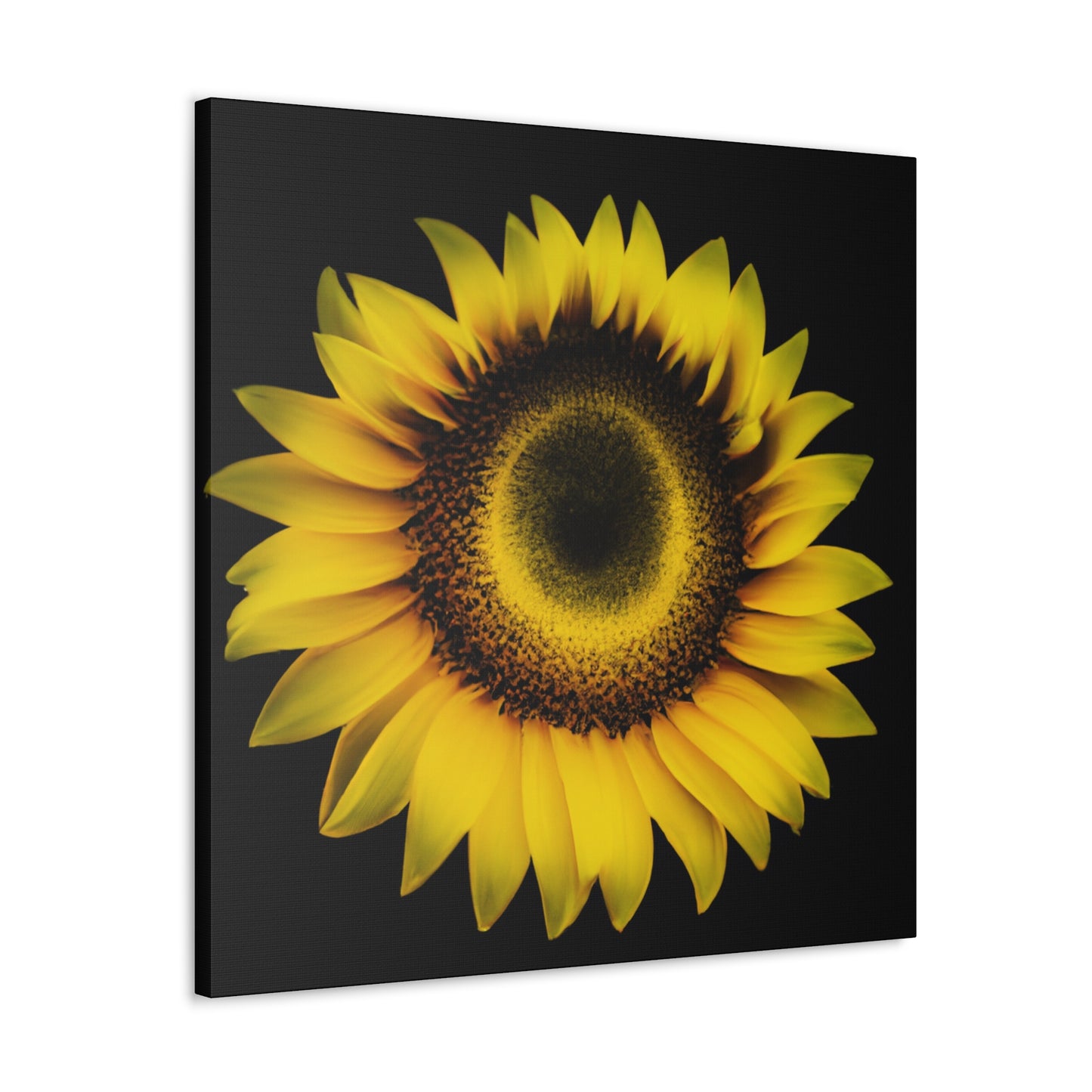 Mia Van Rochosso-Canvas