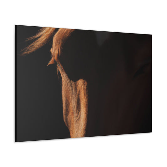 William Masterson-Canvas